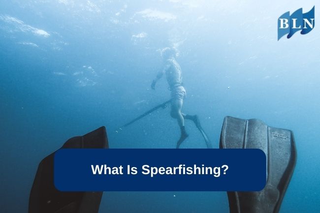 What Is Spearfishing?